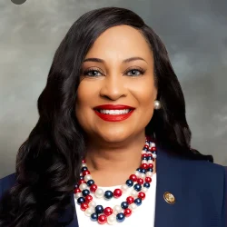 Tavia Galonski, candidate for Judge, 9th District Court of Appeals